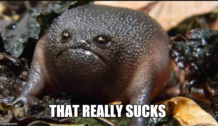 Grumpy Frog | THAT REALLY SUCKS | image tagged in grumpy frog | made w/ Imgflip meme maker