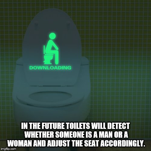 IN THE FUTURE TOILETS WILL DETECT WHETHER SOMEONE IS A MAN OR A WOMAN AND ADJUST THE SEAT ACCORDINGLY. | image tagged in futuristic toilet | made w/ Imgflip meme maker