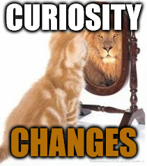 CURIOSITY; CHANGES | image tagged in observe,ouselves,relationships,work | made w/ Imgflip meme maker