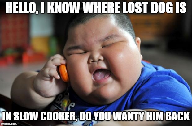 fat chinese kid | HELLO, I KNOW WHERE LOST DOG IS; IN SLOW COOKER, DO YOU WANTY HIM BACK | image tagged in fat chinese kid | made w/ Imgflip meme maker