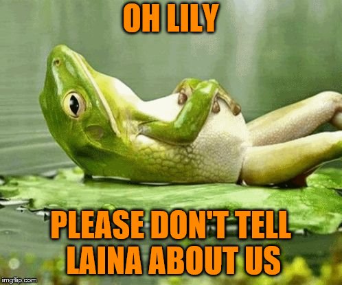 OH LILY PLEASE DON'T TELL LAINA ABOUT US | made w/ Imgflip meme maker