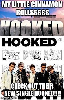 Check out their new song!!!upvote if youre a true limelight | MY LITTLE CINNAMON ROLLSSSSS; CHECK OUT THEIR NEW SINGLE HOOKED!!!! | image tagged in wdw,hooked | made w/ Imgflip meme maker