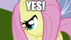 Shy Fluttershy | YES! | image tagged in shy fluttershy | made w/ Imgflip meme maker