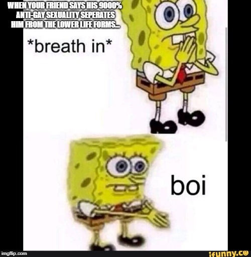 Spongebob Boi | WHEN YOUR FRIEND SAYS HIS 9000% ANTI-GAY SEXUALITY SEPERATES HIM FROM THE LOWER LIFE FORMS... | image tagged in spongebob boi | made w/ Imgflip meme maker