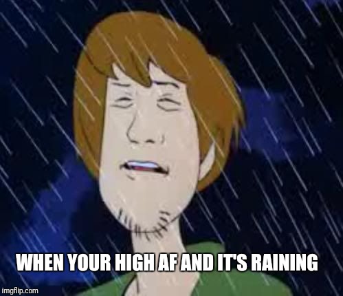 Shaggy Rain | WHEN YOUR HIGH AF AND IT'S RAINING | image tagged in shaggy rain | made w/ Imgflip meme maker