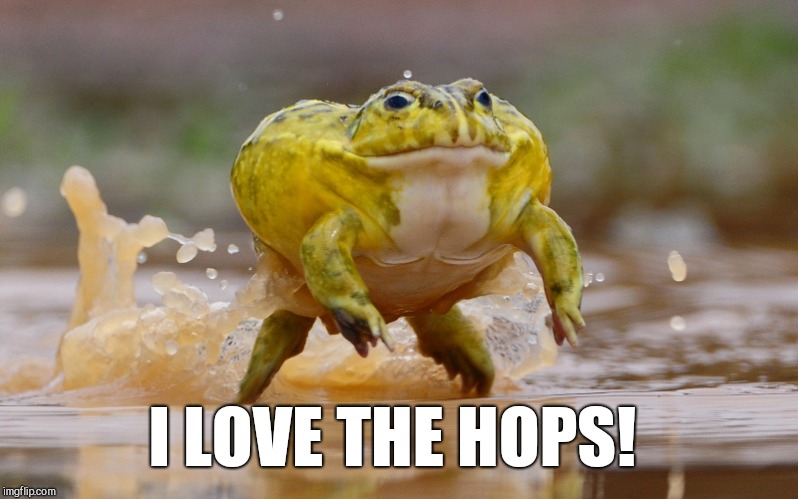 I LOVE THE HOPS! | made w/ Imgflip meme maker