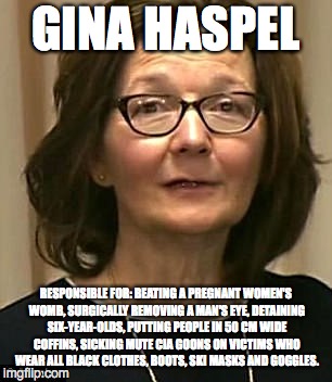  GINA HASPEL; RESPONSIBLE FOR: BEATING A PREGNANT WOMEN'S WOMB, SURGICALLY REMOVING A MAN'S EYE, DETAINING SIX-YEAR-OLDS, PUTTING PEOPLE IN 50 CM WIDE COFFINS, SICKING MUTE CIA GOONS ON VICTIMS WHO WEAR ALL BLACK CLOTHES, BOOTS, SKI MASKS AND GOGGLES. | image tagged in gina haspel | made w/ Imgflip meme maker
