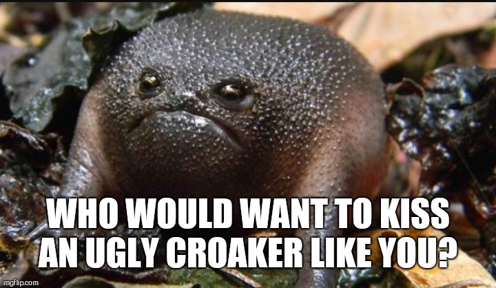 Grumpy Frog | WHO WOULD WANT TO KISS AN UGLY CROAKER LIKE YOU? | image tagged in grumpy frog | made w/ Imgflip meme maker