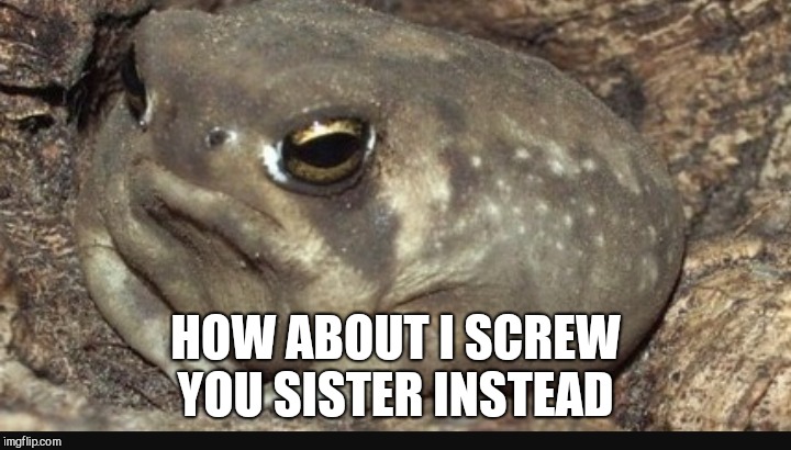HOW ABOUT I SCREW YOU SISTER INSTEAD | made w/ Imgflip meme maker