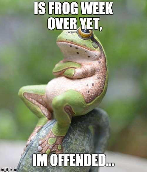 nah frog | IS FROG WEEK OVER YET, IM OFFENDED... | image tagged in nah frog,meme,memes,frog,frog week | made w/ Imgflip meme maker