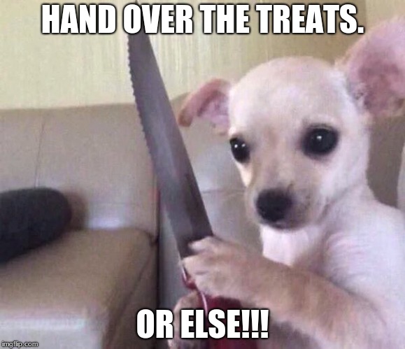 Friendly Dog Just Wants A Treat  | HAND OVER THE TREATS. OR ELSE!!! | image tagged in funny dog memes | made w/ Imgflip meme maker