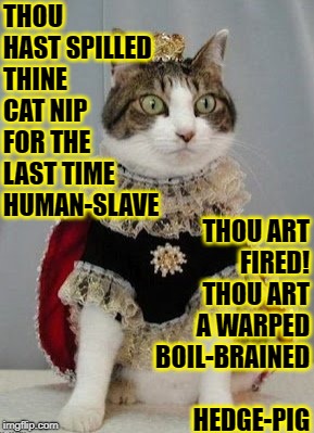 THOU ART FIRED! THOU ART A WARPED BOIL-BRAINED HEDGE-PIG; THOU HAST SPILLED THINE CAT NIP FOR THE LAST TIME HUMAN-SLAVE | image tagged in mean queen cat | made w/ Imgflip meme maker