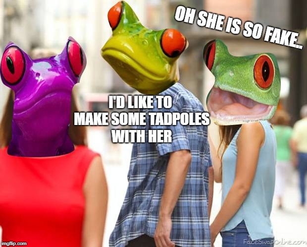 Toad-day's contribution...  | OH SHE IS SO FAKE.. I'D LIKE TO MAKE SOME TADPOLES WITH HER | image tagged in frog week,distracted meme,tadpoles,purple,green | made w/ Imgflip meme maker