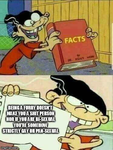 Double d facts book  | BEING A FURRY DOESN'T MAKE YOU A SHIT PERSON NOR IF YOU ARE BI-SEXUAL YOU'RE SOMEHOW STRICTLY GAY OR PAN-SEXUAL | image tagged in double d facts book | made w/ Imgflip meme maker