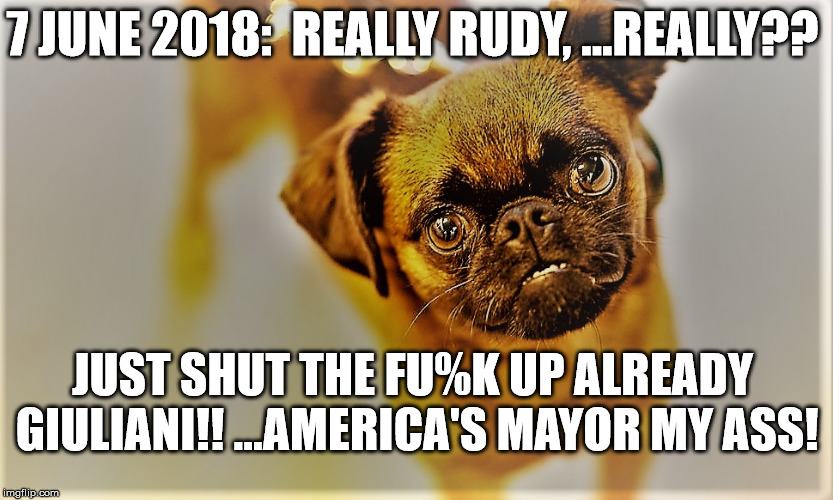 Rudy Giuliani STFU | 7 JUNE 2018:  REALLY RUDY, ...REALLY?? JUST SHUT THE FU%K UP ALREADY GIULIANI!! ...AMERICA'S MAYOR MY ASS! | image tagged in rudy giuliani stfu,pos giuliani,rudy giuliani,crooked rudy | made w/ Imgflip meme maker