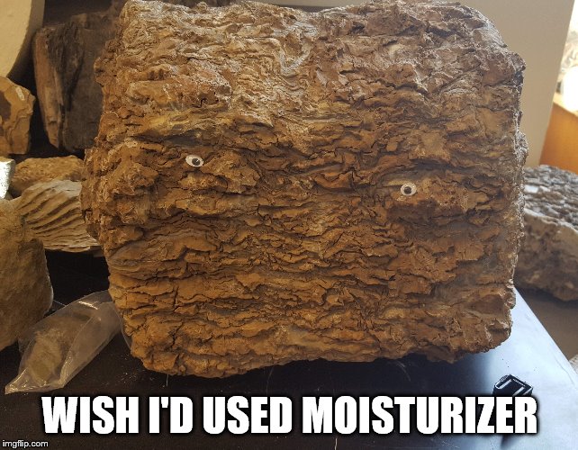 Feeling a bit dry |  WISH I'D USED MOISTURIZER | image tagged in dry,rock,geology | made w/ Imgflip meme maker