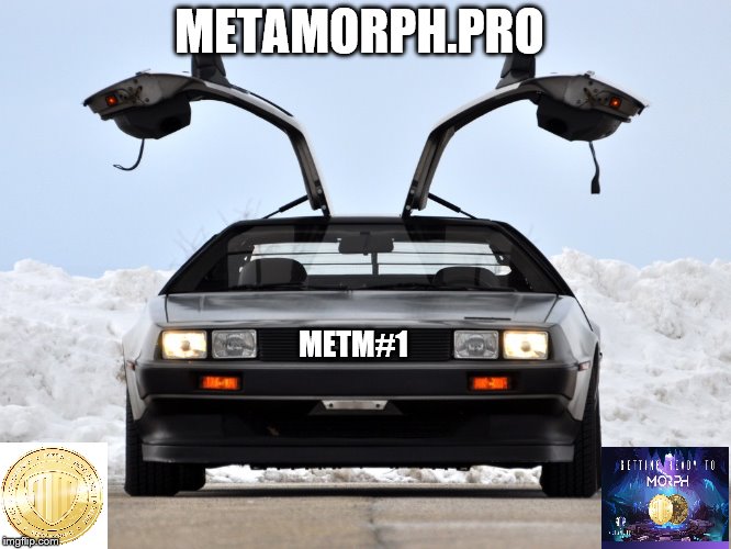 Metamorph.Pro DeLorean | METAMORPH.PRO; METM#1 | image tagged in 1,crypto,metamorphpro,exchange,wallet,metm | made w/ Imgflip meme maker