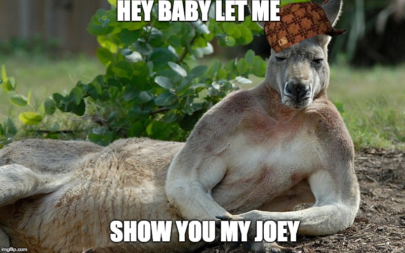 Kanga-Funky | HEY BABY LET ME; SHOW YOU MY JOEY | image tagged in kangaroo,female,animals | made w/ Imgflip meme maker