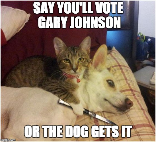 Warning killer cat | SAY YOU'LL VOTE GARY JOHNSON; OR THE DOG GETS IT | image tagged in warning killer cat | made w/ Imgflip meme maker