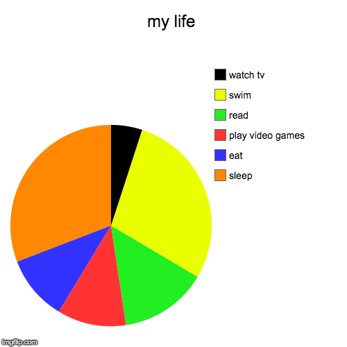 my life | sleep, eat, play video games, read, swim, watch tv | image tagged in funny,pie charts | made w/ Imgflip chart maker