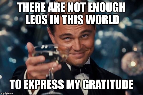 Leonardo Dicaprio Cheers Meme | THERE ARE NOT ENOUGH LEOS IN THIS WORLD TO EXPRESS MY GRATITUDE | image tagged in memes,leonardo dicaprio cheers | made w/ Imgflip meme maker