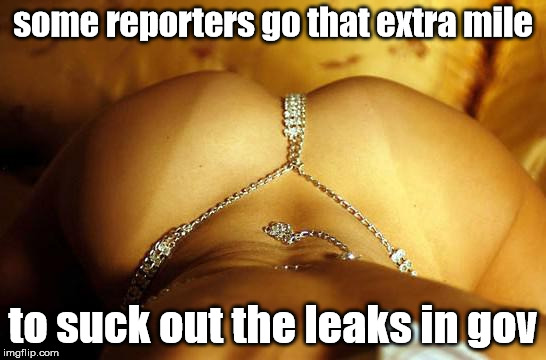 some reporters go that extra mile; to suck out the leaks in gov | made w/ Imgflip meme maker
