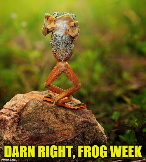 DARN RIGHT, FROG WEEK | made w/ Imgflip meme maker