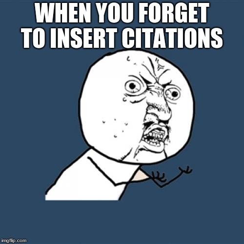 Y U No | WHEN YOU FORGET TO INSERT CITATIONS | image tagged in memes,y u no | made w/ Imgflip meme maker