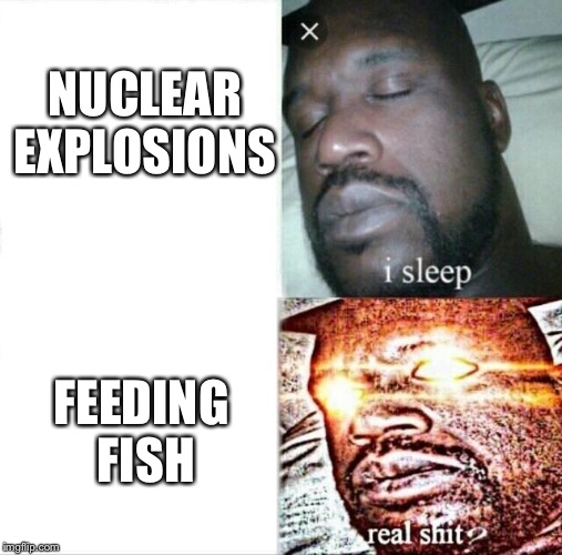 Sleeping Shaq | NUCLEAR EXPLOSIONS; FEEDING FISH | image tagged in memes,sleeping shaq | made w/ Imgflip meme maker