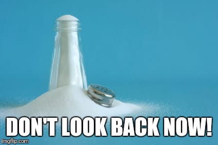 Pillar of salt | DON'T LOOK BACK NOW! | image tagged in pillar of salt | made w/ Imgflip meme maker