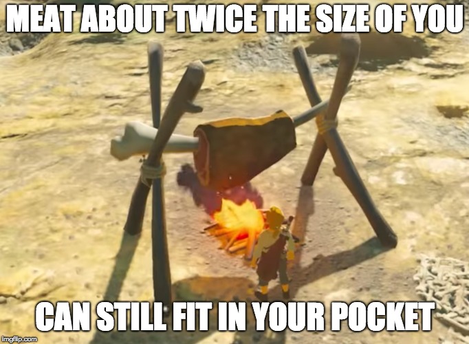 MEAT ABOUT TWICE THE SIZE OF YOU; CAN STILL FIT IN YOUR POCKET | image tagged in link | made w/ Imgflip meme maker