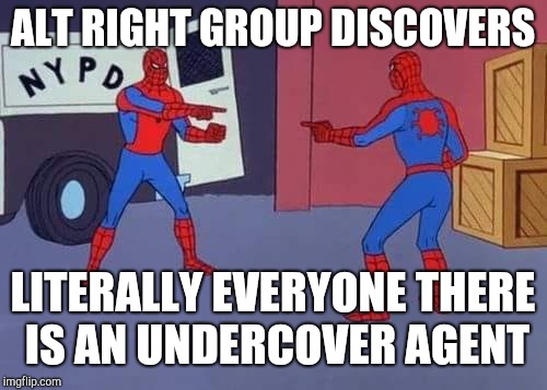 Spiderman mirror | ALT RIGHT GROUP DISCOVERS; LITERALLY EVERYONE THERE IS AN UNDERCOVER AGENT | image tagged in spiderman mirror | made w/ Imgflip meme maker