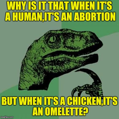 Are we so much better than chickens? | WHY IS IT THAT WHEN IT'S A HUMAN,IT'S AN ABORTION; BUT WHEN IT'S A CHICKEN,IT'S AN OMELETTE? | image tagged in memes,philosoraptor,george carlin,abortion,powermetalhead,logic | made w/ Imgflip meme maker