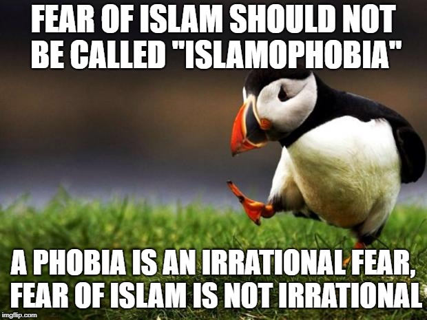You have to be willfully blind to not see what Islam is doing to Western Europe | FEAR OF ISLAM SHOULD NOT BE CALLED "ISLAMOPHOBIA"; A PHOBIA IS AN IRRATIONAL FEAR, FEAR OF ISLAM IS NOT IRRATIONAL | image tagged in memes,unpopular opinion puffin | made w/ Imgflip meme maker