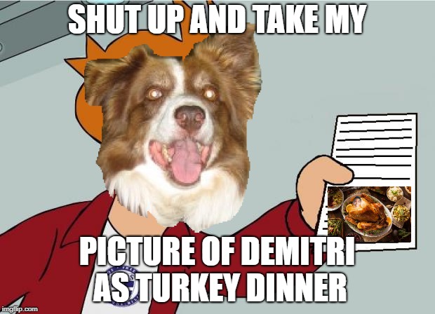 Shut up and take my picture of Demitri as turkey dinner! |  SHUT UP AND TAKE MY; PICTURE OF DEMITRI AS TURKEY DINNER | image tagged in demitri as turkey dinner,chili the border collie,dogs,border collie,eat demitri | made w/ Imgflip meme maker