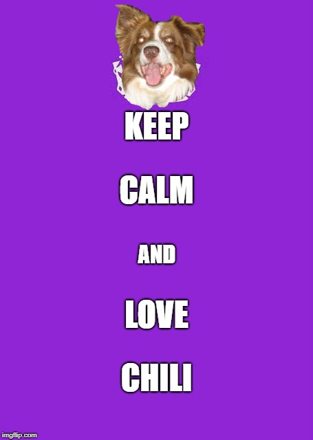 Keep Calm And Carry On Purple | KEEP; CALM; AND; LOVE; CHILI | image tagged in memes,keep calm and carry on purple | made w/ Imgflip meme maker