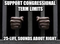 Jail | SUPPORT CONGRESSIONAL TERM LIMITS; 25-LIFE, SOUNDS ABOUT RIGHT | image tagged in jail | made w/ Imgflip meme maker
