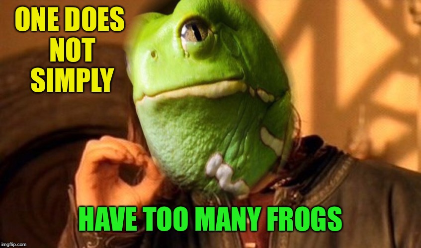 ONE DOES NOT SIMPLY HAVE TOO MANY FROGS | made w/ Imgflip meme maker