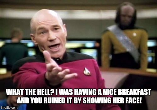 Picard Wtf Meme | WHAT THE HELL? I WAS HAVING A NICE BREAKFAST AND YOU RUINED IT BY SHOWING HER FACE! | image tagged in memes,picard wtf | made w/ Imgflip meme maker