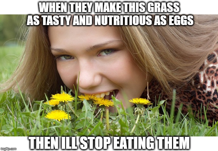 WHEN THEY MAKE THIS GRASS AS TASTY AND NUTRITIOUS AS EGGS THEN ILL STOP EATING THEM | made w/ Imgflip meme maker