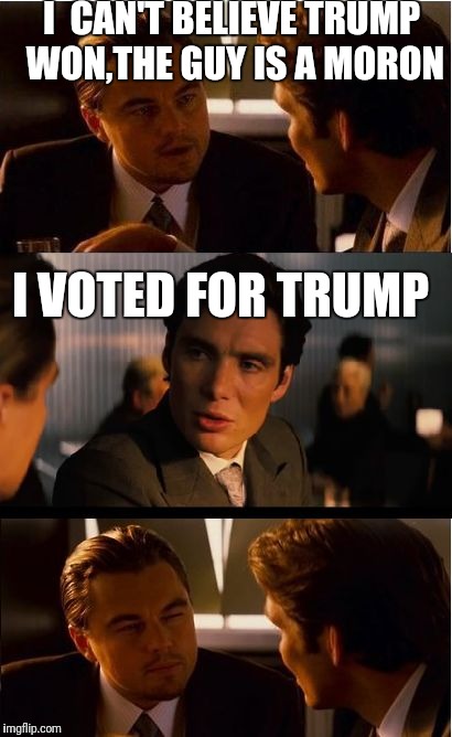 Inception Meme | I  CAN'T BELIEVE TRUMP WON,THE GUY IS A MORON; I VOTED FOR TRUMP | image tagged in memes,inception | made w/ Imgflip meme maker