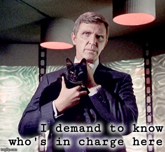 Gary Seven | I demand to know who's in charge here | image tagged in star trek | made w/ Imgflip meme maker