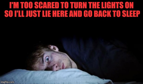 I'M TOO SCARED TO TURN THE LIGHTS ON SO I'LL JUST LIE HERE AND GO BACK TO SLEEP | made w/ Imgflip meme maker