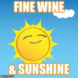 Sun | FINE WINE; & SUNSHINE | image tagged in sun | made w/ Imgflip meme maker