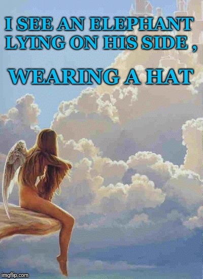 I SEE AN ELEPHANT LYING ON HIS SIDE , WEARING A HAT | image tagged in angel thoughts | made w/ Imgflip meme maker
