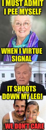 Wrong Message  | I MUST ADMIT I PEE MYSELF; WHEN I VIRTUE SIGNAL; IT SHOOTS DOWN MY LEG! WE DON’T CARE | image tagged in virtue,pee,hipster,red pill,mgtow,democrats | made w/ Imgflip meme maker