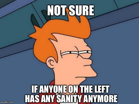 Futurama Fry Meme | NOT SURE; IF ANYONE ON THE LEFT HAS ANY SANITY ANYMORE | image tagged in memes,futurama fry | made w/ Imgflip meme maker