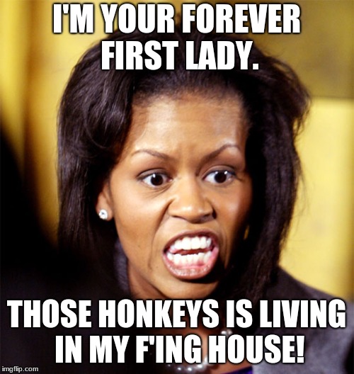 Jealous Much? | I'M YOUR FOREVER FIRST LADY. THOSE HONKEYS IS LIVING IN MY F'ING HOUSE! | image tagged in michelle obama lookalike,forever first lady,angry michelle,angry michelle obama,jealous michelle obama | made w/ Imgflip meme maker