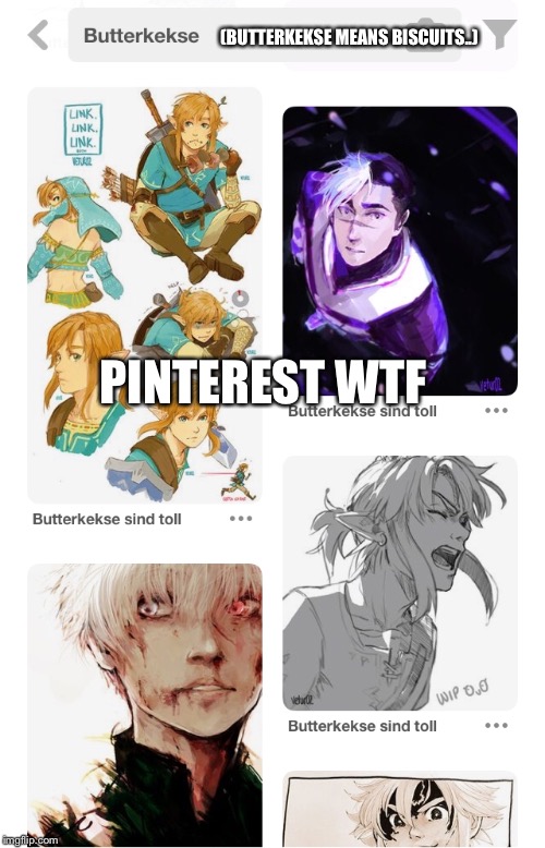 WHAT THE ACTUAL... | (BUTTERKEKSE MEANS BISCUITS..); PINTEREST WTF | image tagged in zelda,anime,legend of zelda,biscuits | made w/ Imgflip meme maker