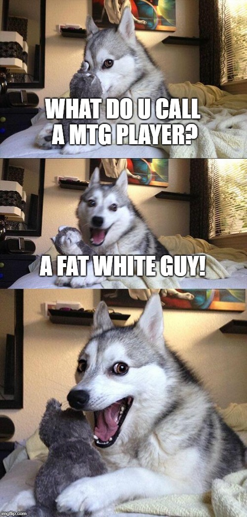 Bad Pun Dog Meme | WHAT DO U CALL A MTG PLAYER? A FAT WHITE GUY! | image tagged in memes,bad pun dog | made w/ Imgflip meme maker